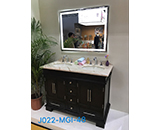 J022-MGI-48